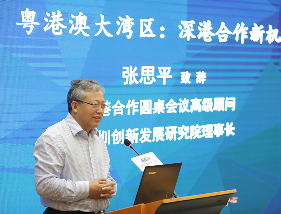 中國(guó)經(jīng)濟(jì)體制改革基金會(huì)張思平:在粵港澳大灣區(qū)再造幾個(gè)香港